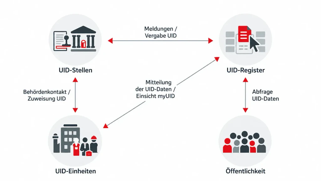 Grafik zum UID-System: UID-Stellen und UID-Register tauschen Meldungen aus und vergeben die UID. Zwischen UID-Stellen und UID-Einheiten laufen Behördenkontakt und Zuweisung der UID. Das UID-Register teilt den UID-Einheiten ihre UID-Daten mit, die sie über myUID einsehen können. Die Öffentlichkeit kann UID-Daten im UID-Register abfragen.