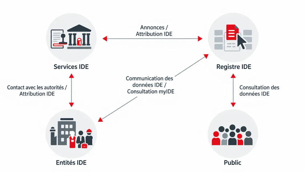 Graphique sur le système IDE : les services IDE et le registre IDE échangent des annonces et attribuent l’IDE. Entre les services IDE et les entités IDE ont lieu les contacts avec les autorités et l’attribution de l’IDE. Le registre IDE communique aux entités IDE leurs données IDE, qu’elles peuvent consulter via myIDE. Le public peut consulter les données IDE dans le registre IDE.